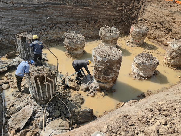 任城专业丝瓜草莓视频APP下载