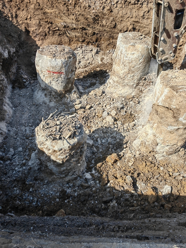 曲阜专业丝瓜草莓视频APP下载