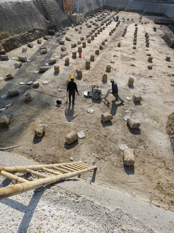 鱼台专业丝瓜草莓视频APP下载